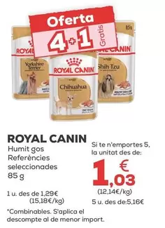 Royal Canin - Húmedo Perro