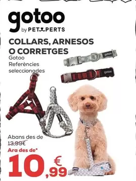 Gotoo - Collares, Arneses O Correas