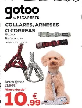 Gotoo - Collares, Arneses O Correas
