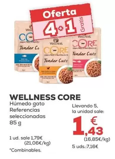 Wellness Core - Húmedo Gato 