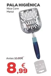 Nice Care - Nicée  Metal