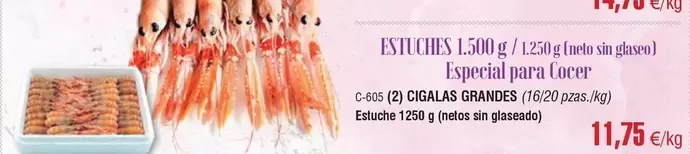 Especiani Para Cucer