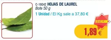Hojas De Laurel