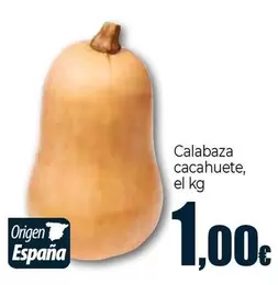 Calabaza Cacahuete