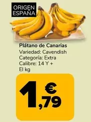 Plátano De Canarias