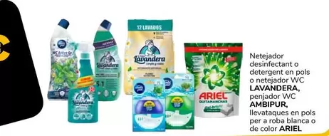 Lavandera / Ambipur / Ariel - Netejador Desinfectant O Detergent En Pols O Netejador Wc, Penjador Wc, Llevataques En Pols Per A Roba Blanca O De Color