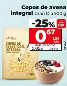Gran Dia - Copos De Avena Integral 