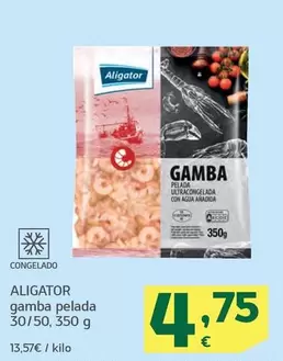 Aligator - Gamba Pelada