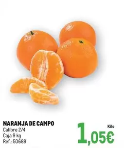 Naranja De Campo
