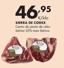 Sierra De Codex - Centro De Jamón De Cebo Ibérico 50% Raza Ibérica