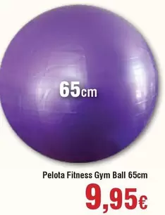 Pelota Fitness Gym Ball