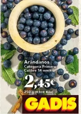 Arándanos Categoria Primera