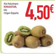 origen - Kiwi Asturinano