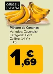 Platano De Canarias