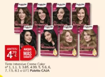 Palette - Tinte Intensive Creme Color