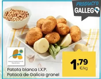 Patata Blanca I.X.P. Pataca De Galicia Granel