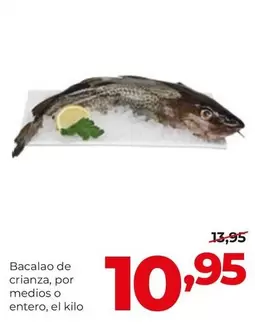 Alimerka - Bacalao De Crianza