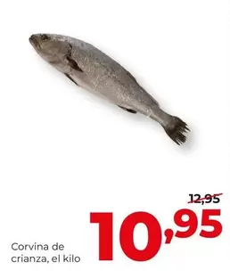 Alimerka - Corvina De Crianza