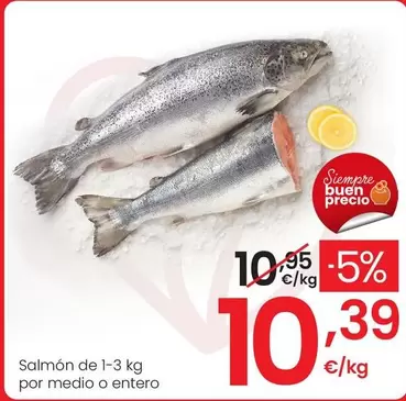 Salmón De 1-3 Kg Por Medio O Entero