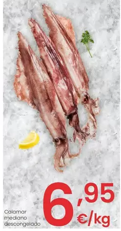 Calamar Mediano Descongelado