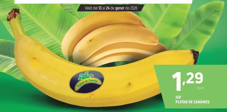 IGP Plátan De Canaries