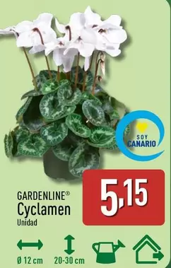Gardenline - Cyclamen