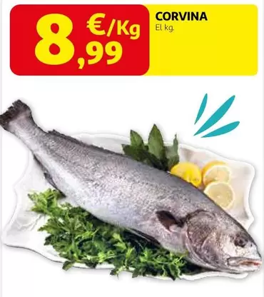 Corvina