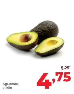 Aguacate