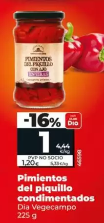 Dia Vegecampo - Pimientos Del Piquillo Condimentados 225 G