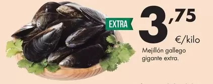 Mejillón Gallego Gigante Extra