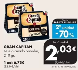 Gran Capitán - Queso Curado Cortadas