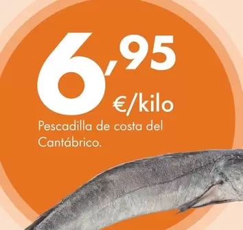 Pescadilla De Costa Del Cantábrico