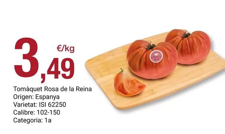 reina - Tomaquet Rosa De La Reina