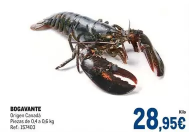 Bogavante