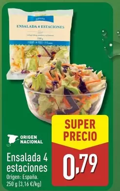 Ensalada 4 Estaciones