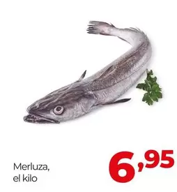 Alimerka - Merluza