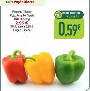 origen - Pimiento Tricolor Rojo, Amarillo, Verde
