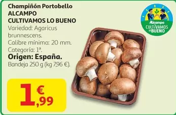 Alcampo - Cultivamos Lo Bueno Champiñón Portobello