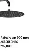 Raindream 300 Mm