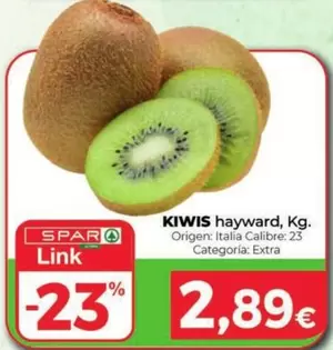 Kiwis Hayward