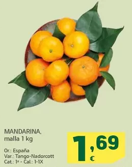 Mandarina