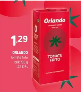 Orlando - Tomate Frito Brik
