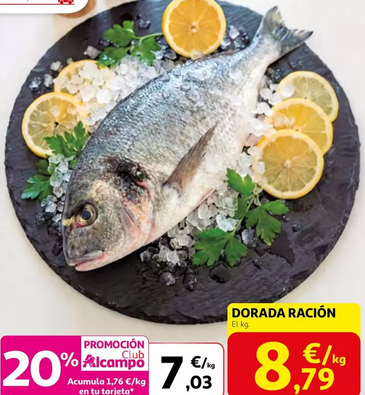 alcampo - Dorada Racion