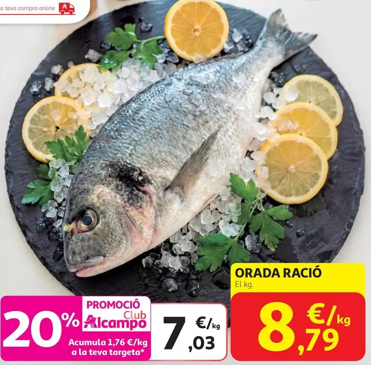 alcampo - Orada Racio