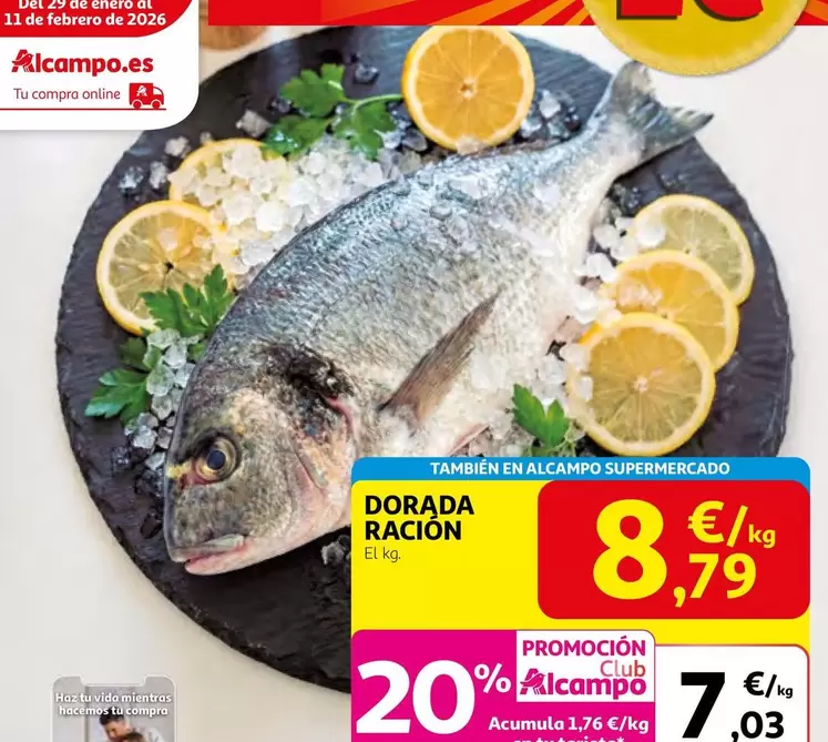 Dorada Racion