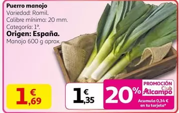 origen - Puerro Manojo