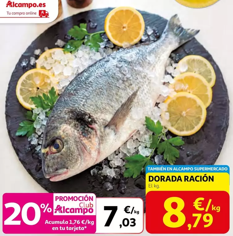 Dorada Racion