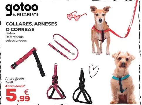 Gotoo - Collares, Arneses O Correas