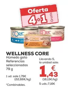 Wellness Core - Humedo Gato