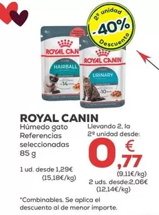 Royal Canin - Húmedo Gato
